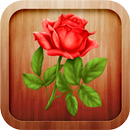 Sprüche & Zitate APK