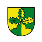 Spiegelberg icon