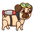 Pug's Jetpack Run