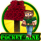 Pocket Mine icône