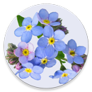 ForgetMeNot-APK