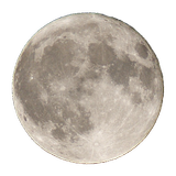 Rover আইকন
