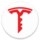 Tesla Login icône