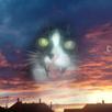 Magic Secret Picture Free APK