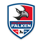 Heilbronn Falken icon