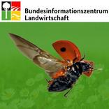 Nützlinge im Garten