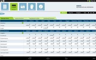 BMWi Businessplan screenshot 1