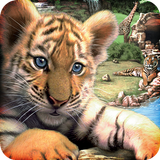 Wildlife Park APK