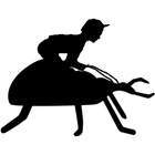 Bug Jockey icône