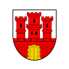 Steinheim icône