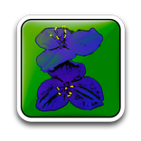 Garten: Gemüsepflanzen Frei