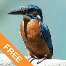 APK Natur erleben Starter App