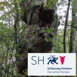 Altbäume Schleswig-Holstein