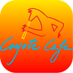 Coyote Cafe Wiesbaden