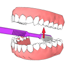 DentalCluj Brush Assistant simgesi