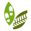 EntdeckerRouten icon
