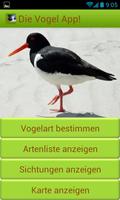 Die Vogel App! plakat