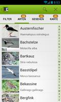Die Vogel App! Ekran Görüntüsü 2