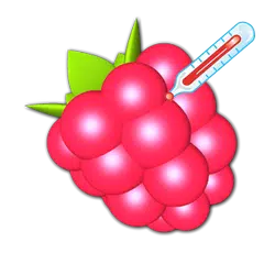 RasPi Check APK download