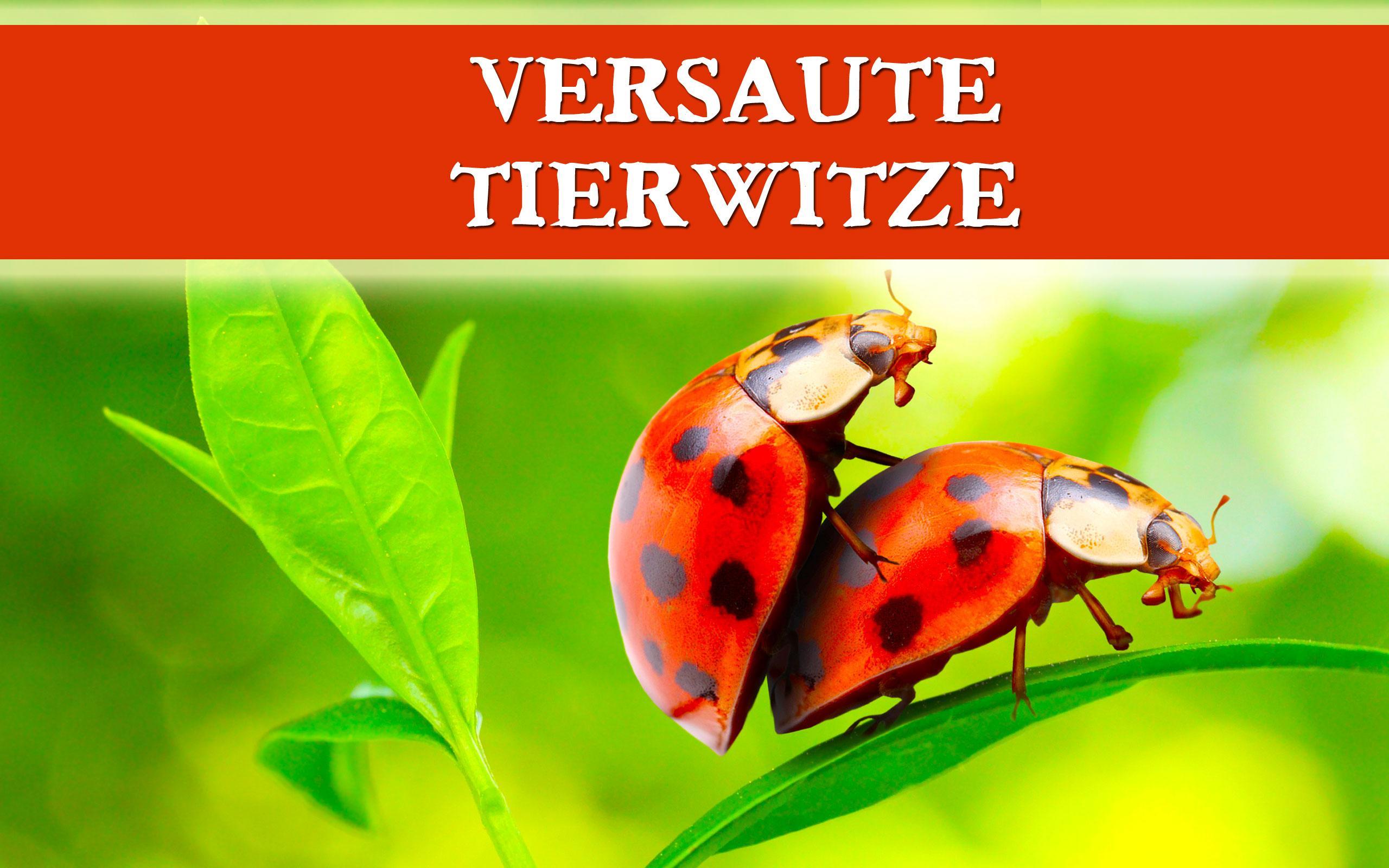 freie schmutzige sex witze