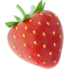 ErdbeerMap アイコン