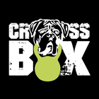 CROSSBOX – BEYOND YOUR LIMITS! icône