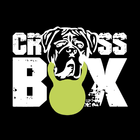 CROSSBOX – BEYOND YOUR LIMITS! icon