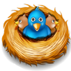 Falling Chicks APK