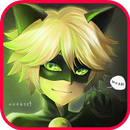 🐞 Ladybug Cat Noir Adventure APK
