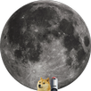 APK DOGE QUEST