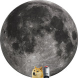 DOGE QUEST
