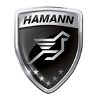 Hamann icon