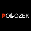 Pollozek