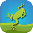 Frog Alive - Frosch Spiel