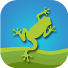Frog alive - the frog game icône