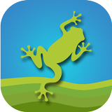 Frog Alive - Frosch Spiel أيقونة
