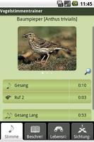 Vogelstimmen-Trainer Lite screenshot 1