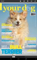 1 Schermata your dog - epaper