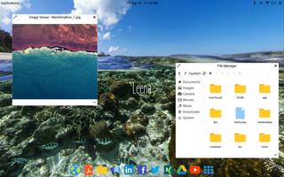 Leena Desktop UI (Multiwindow) Affiche