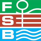 FSB 2015 иконка