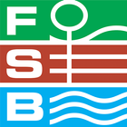 FSB 2015 icône
