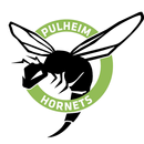 Pulheim Hornets APK