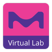 The Virtual Lab