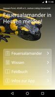 پوستر Feuersalamander in Hessen