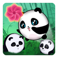 Panda Brothers