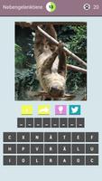 Tierquiz - Errate die Tiere! Affiche