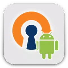OpenVPN Installer