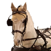 Horse Driving APK
