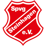 Spvg Steinhagen icône