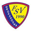 FSV Großpösna 1990 e.V. APK